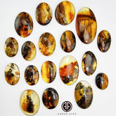 Fossil Amber Free Shape Cabochons